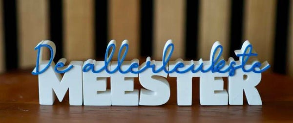 de allerleukste meester