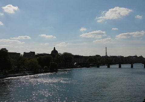 Nähe Pont Neuf, herrlicher Blick auf die Seine und Eiffelturm