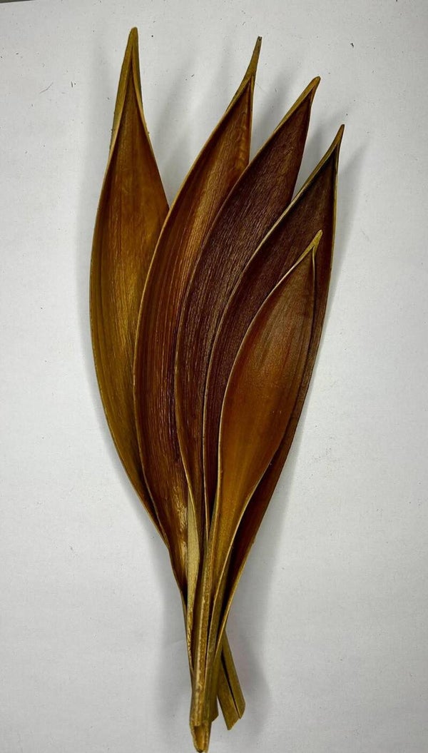 La Coque de Coco Naturelle