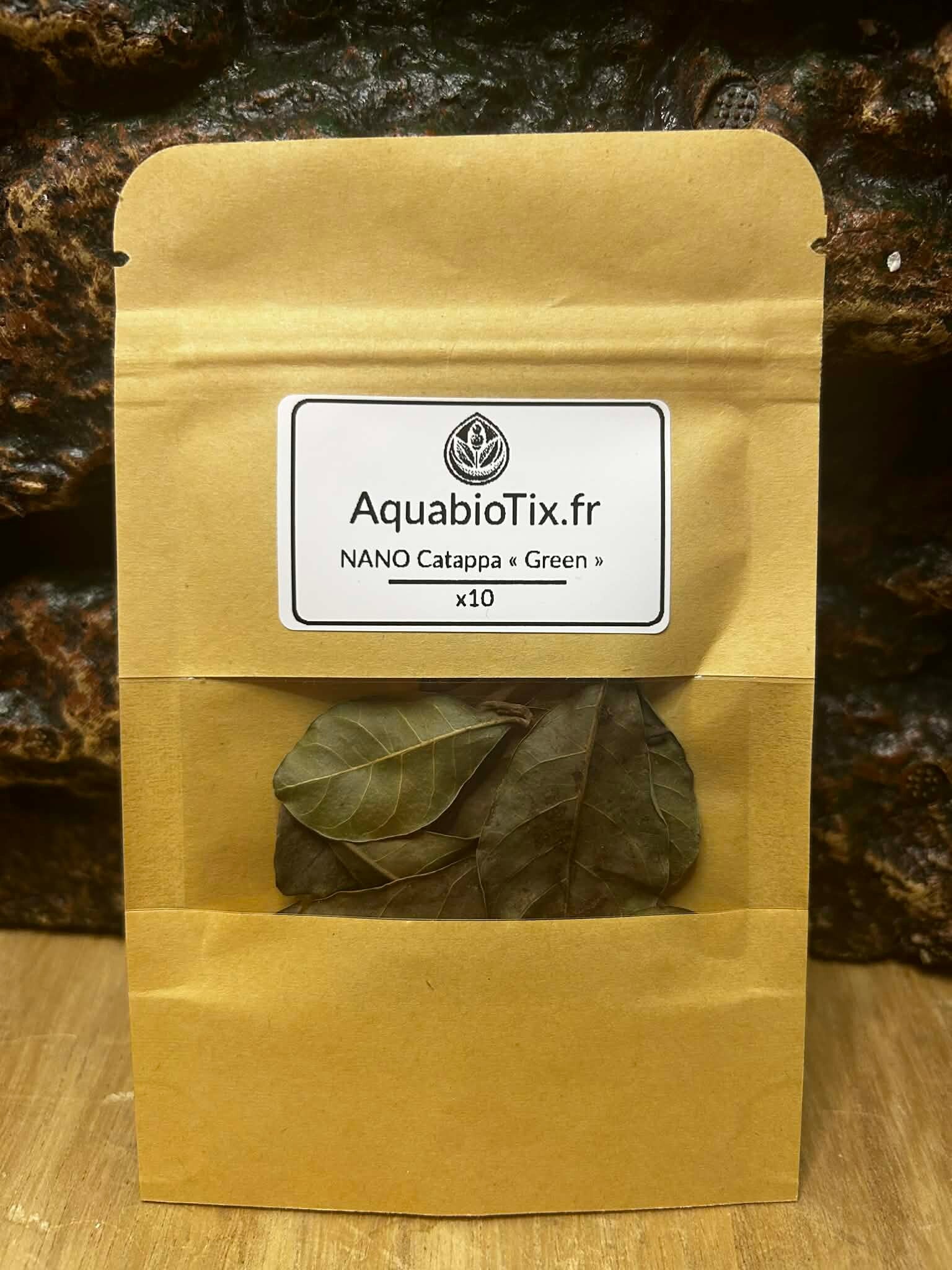 NANO Feuilles de Catappa "Green"  10 unités