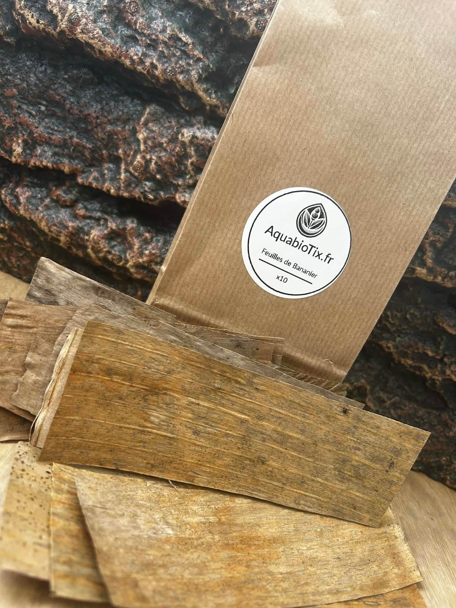 Feuilles de Bananier (Banana Leaves) | Énergie & Vitalité