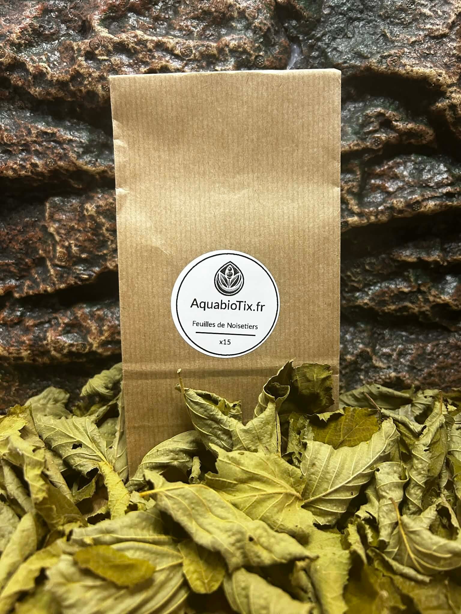 Feuilles de noisetiers - 15 unités