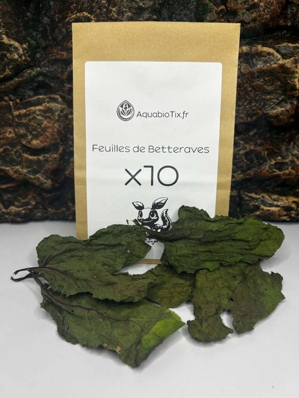Feuilles de Betteraves Bio | Couleurs & Vitalité