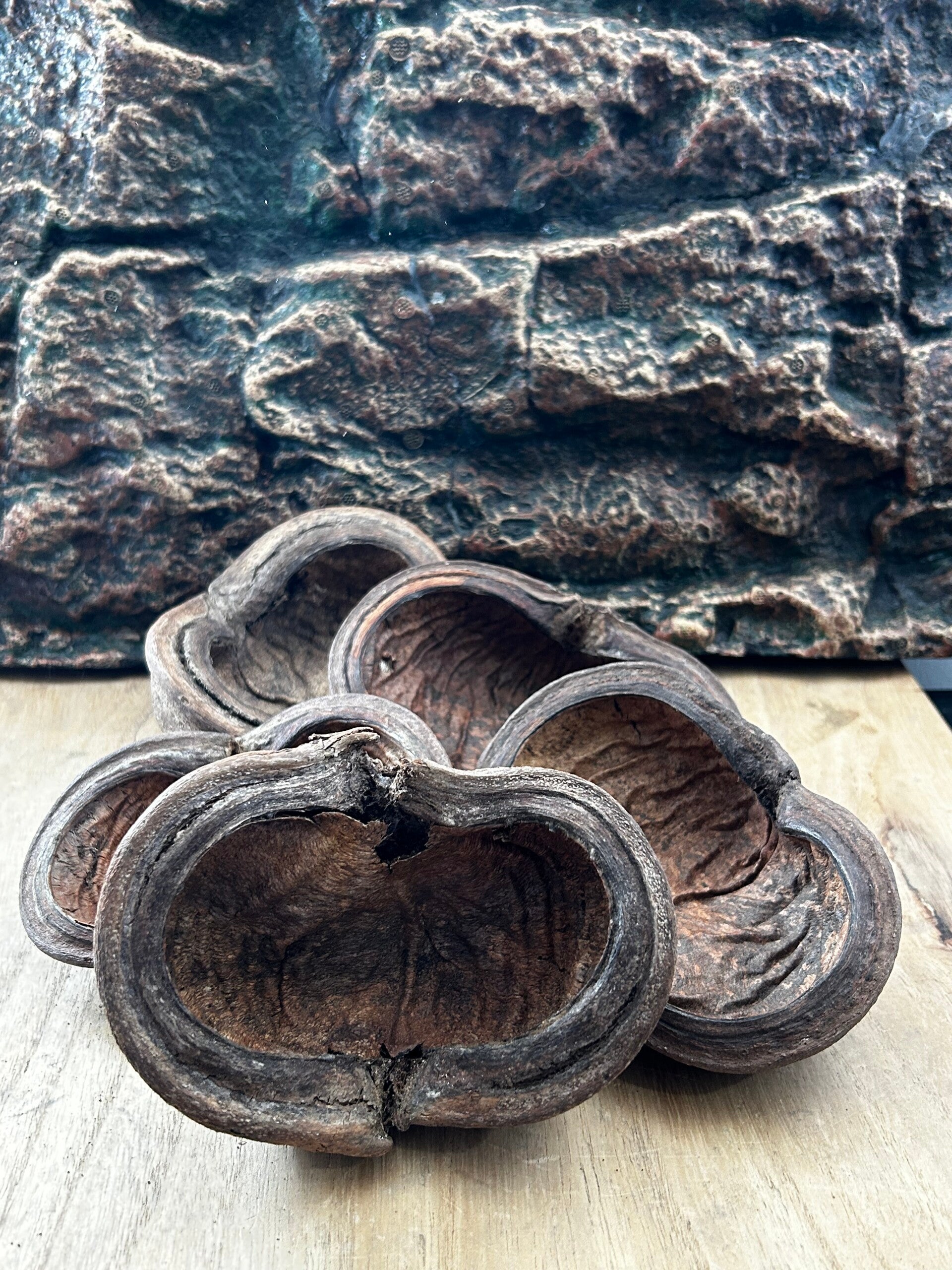 Thelambu Pods | Le Refuge