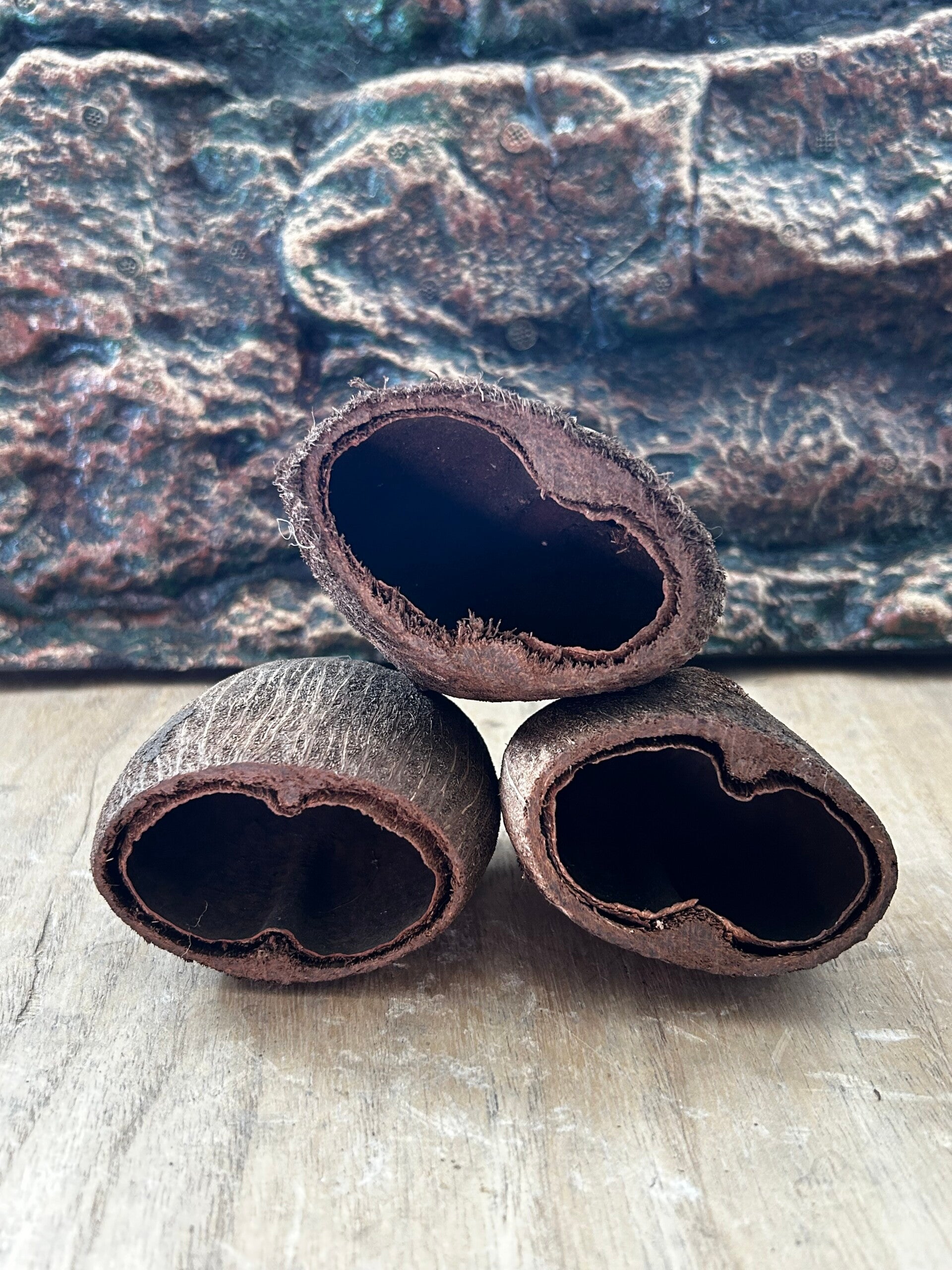 Palm Pod | La Touche Exotique