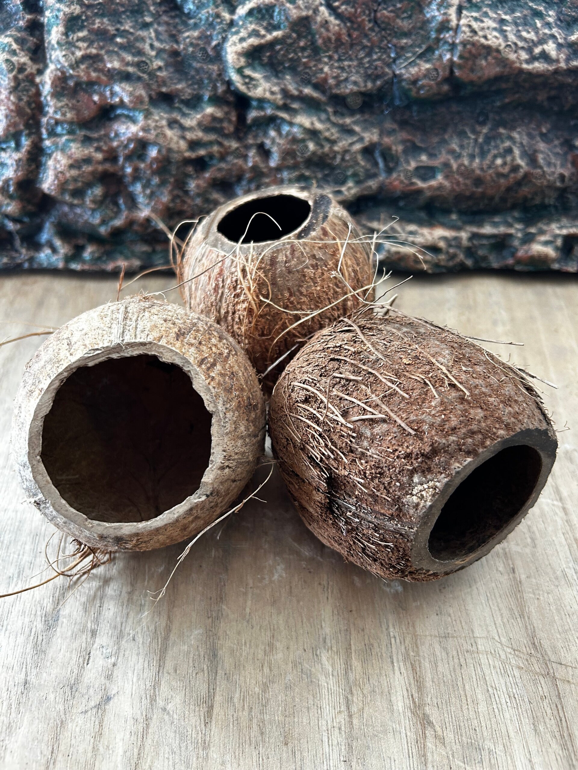 Coconut Cave 3/4 | La Grotte Naturelle