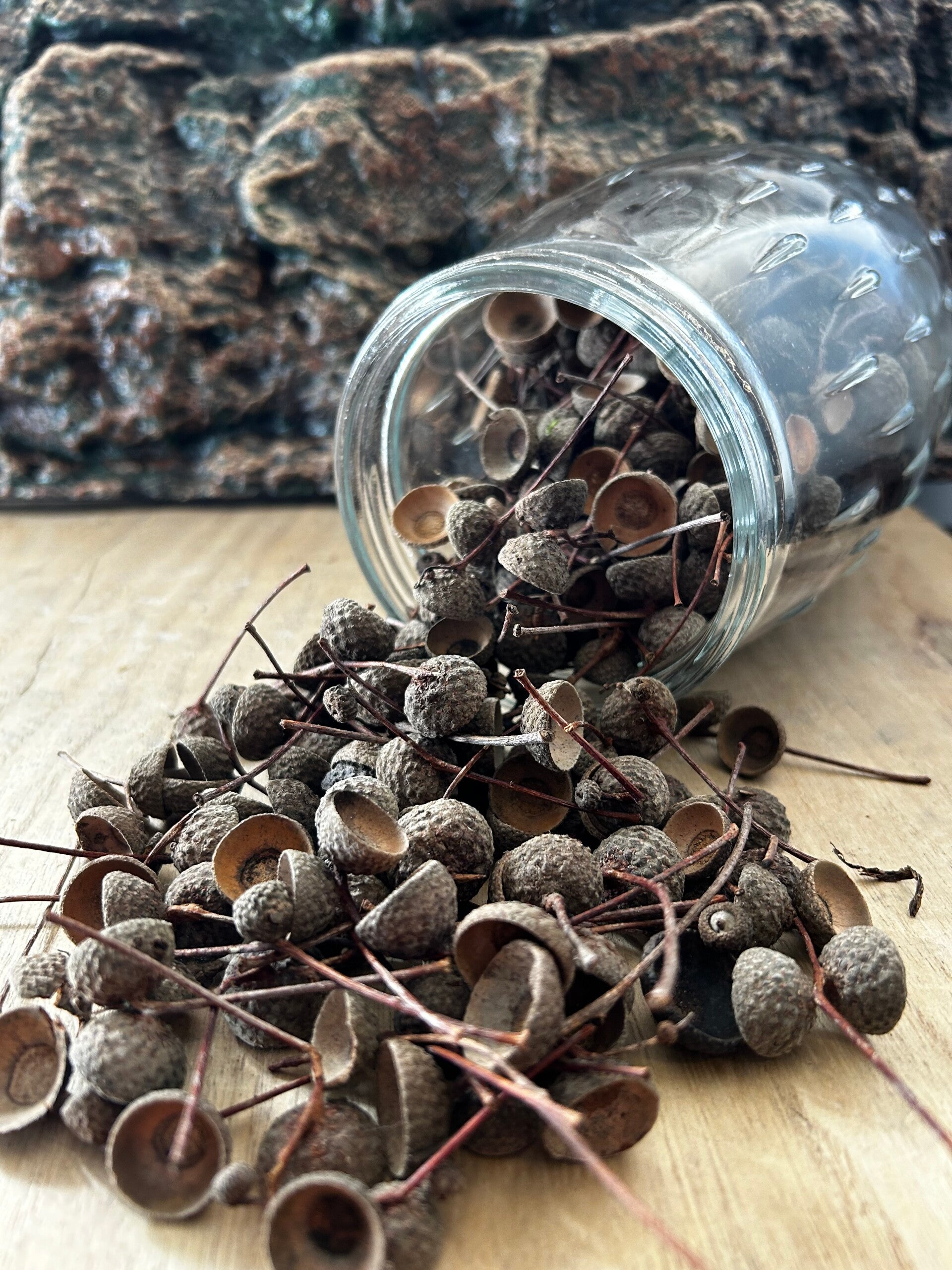 Chapeaux de Glands Naturels – Les Mini-Refuges du Biotope