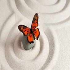Orange-schwarzer Schmetterling sitzt auf einem kleinen Stein in einem Zen-Garten mit konzentrischen Sandkreisen, im Kontext mit Jenseitskontakte Jana Lorenz.