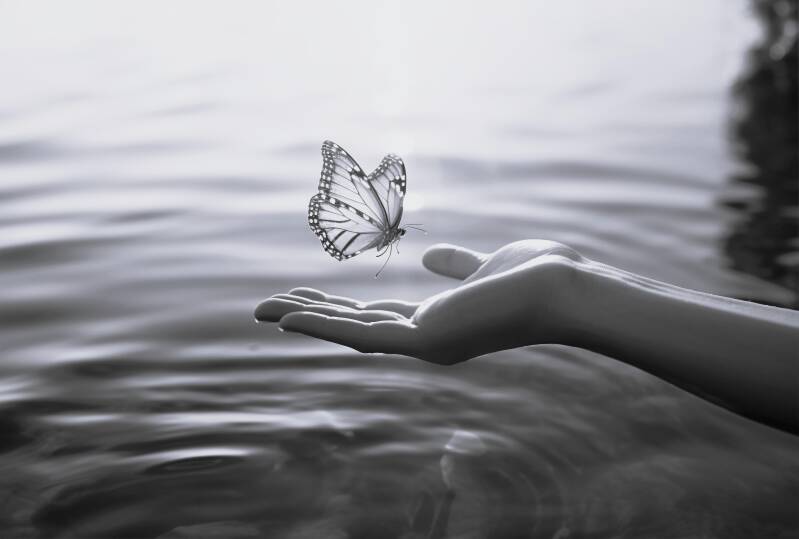 Ein Schmetterling mit orangefarbenen Flügeln schwebt über einer offenen Hand, die über Wasser gehalten wird. Sonnenlicht reflektiert auf der Wasseroberfläche, Kontext Jenseitskontakte Jana Lorenz.