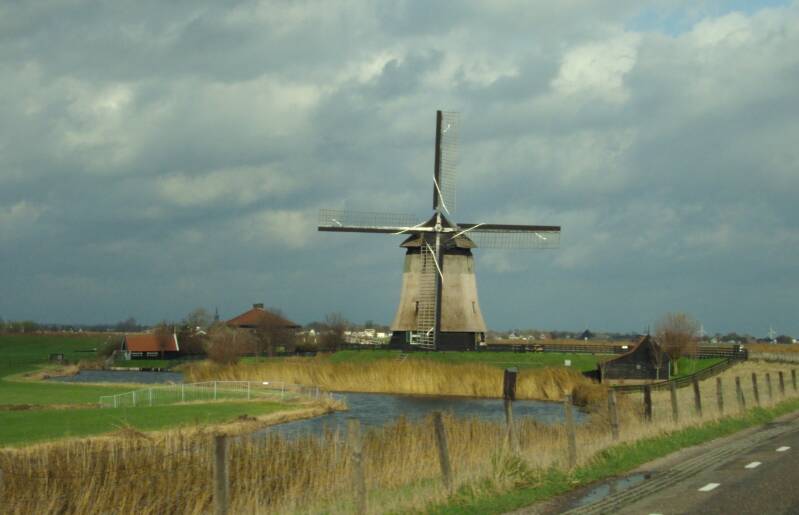 The Dutch Mills