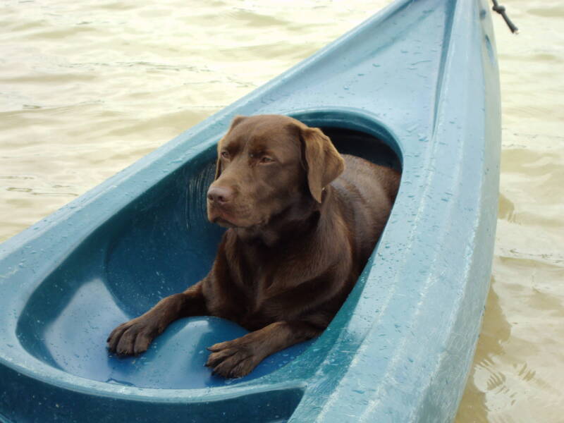 Pascha Rides