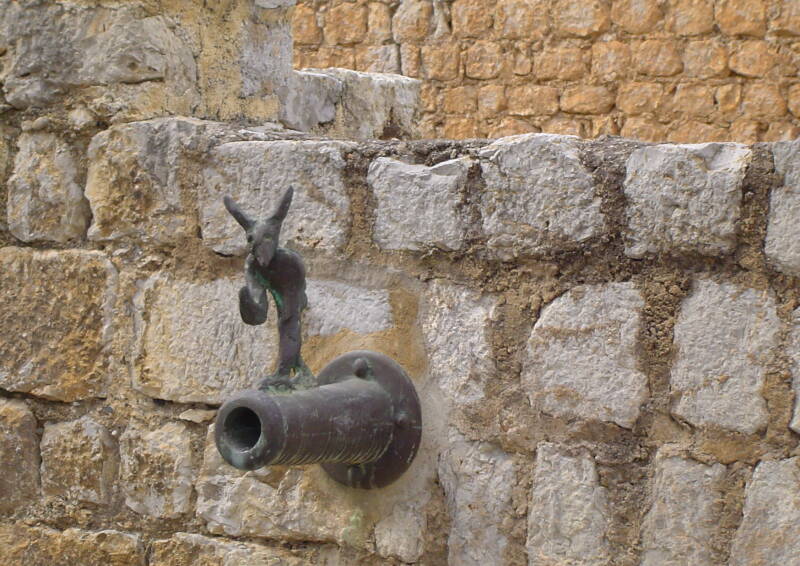 Donkey Ibiza