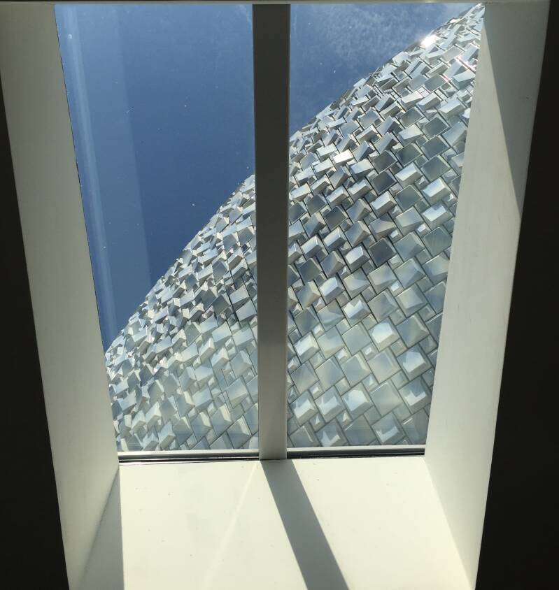 Silver Shine