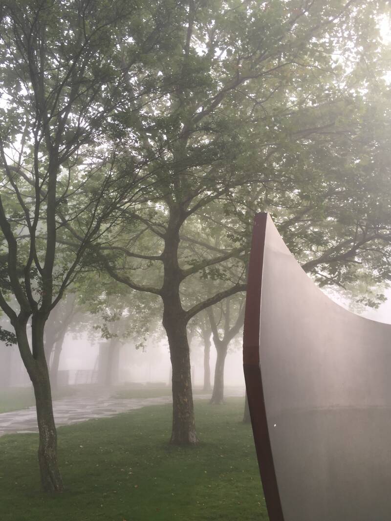 Misty Mornings