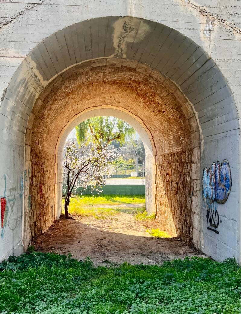 Walk This Way