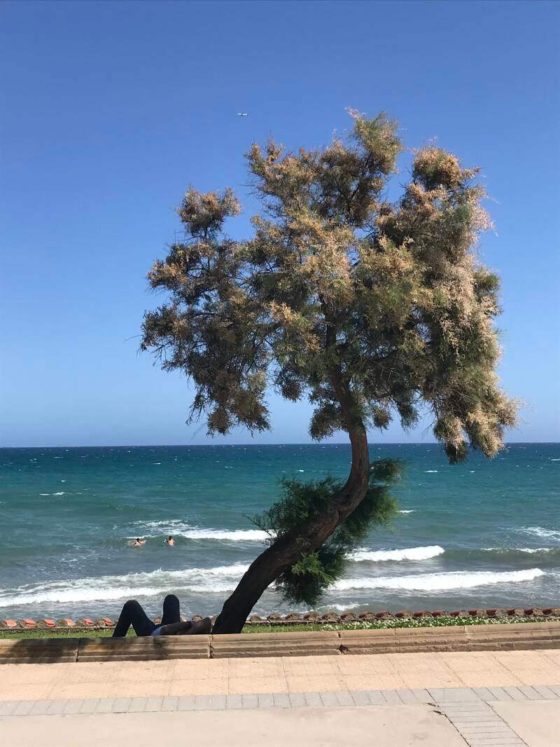 Woman On Shore