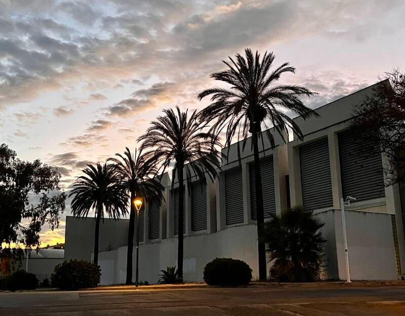 Arty Palms