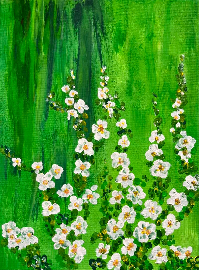 Malvarrosas Blanco