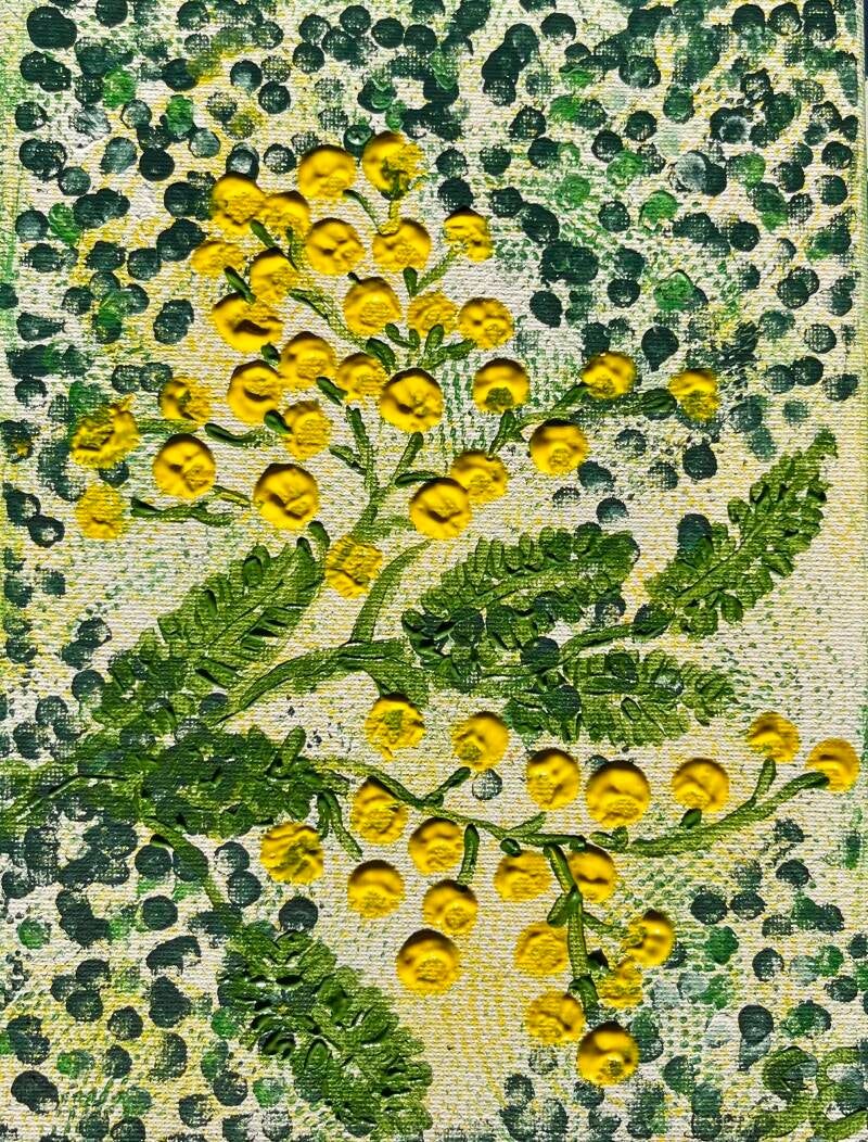 Mimosa