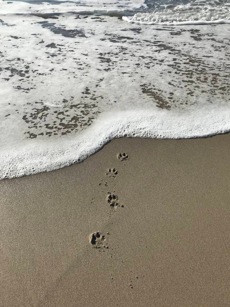 Stranded In Sea