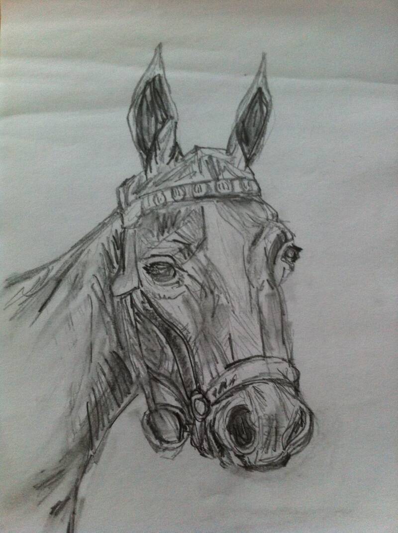 Caballo