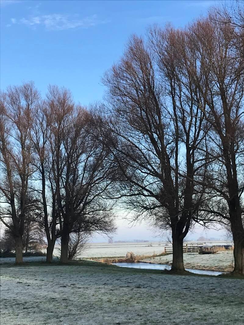 Winter Meddow