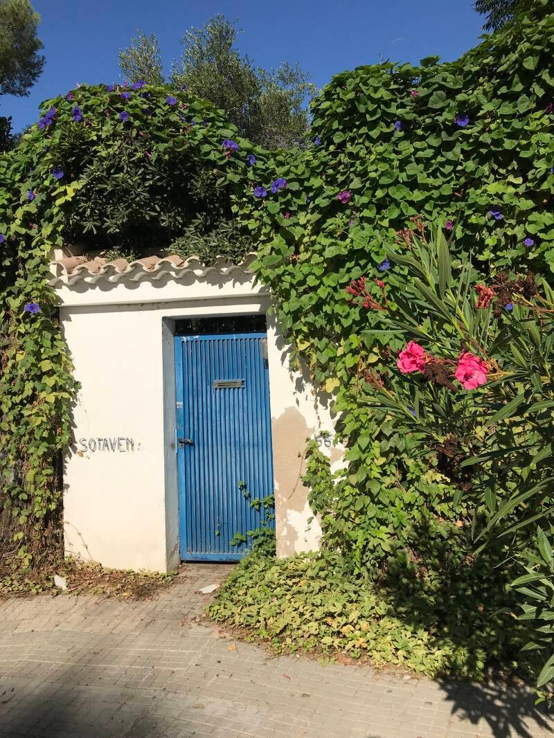 The Gate Door