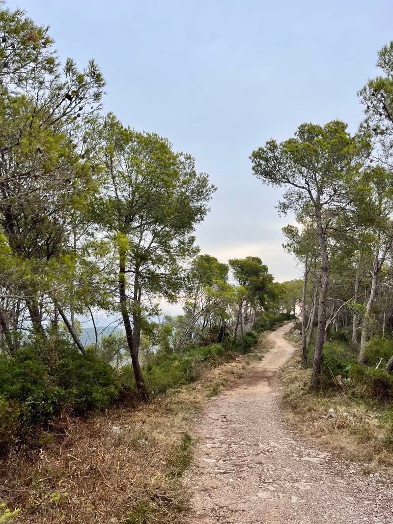 The Walk