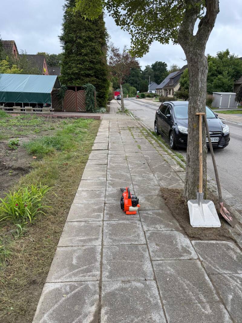 Gehweg und Randbereich nach der Pflege