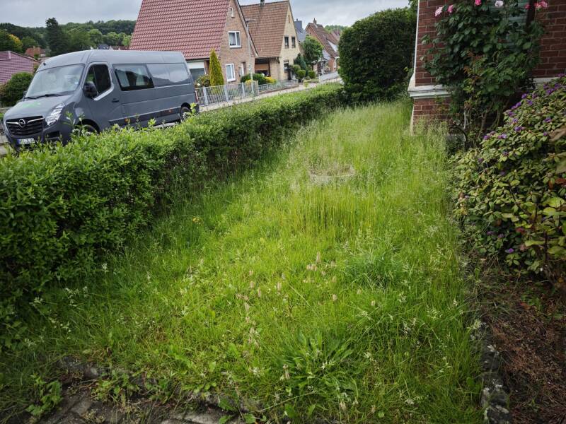 Grünfläche mit höherem Aufwuchs