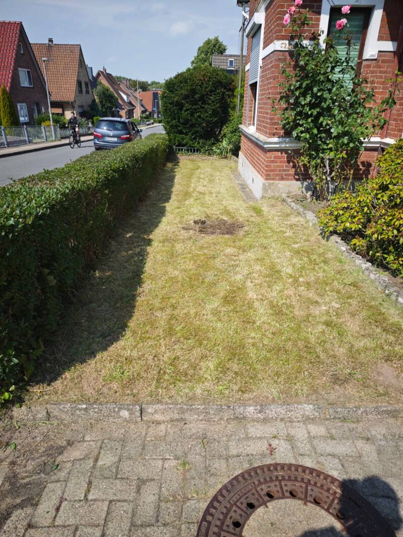 Gemähter Gartenstreifen am Haus