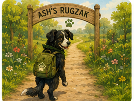Meteen naar Ash's rugzak