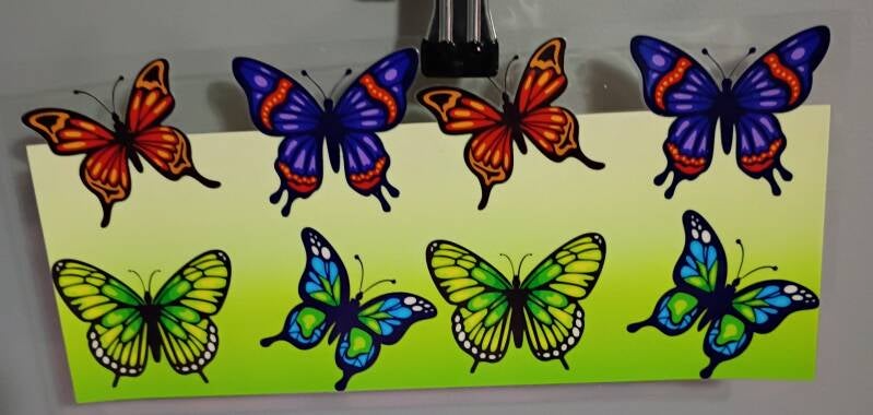 BUTTERFLIES 1