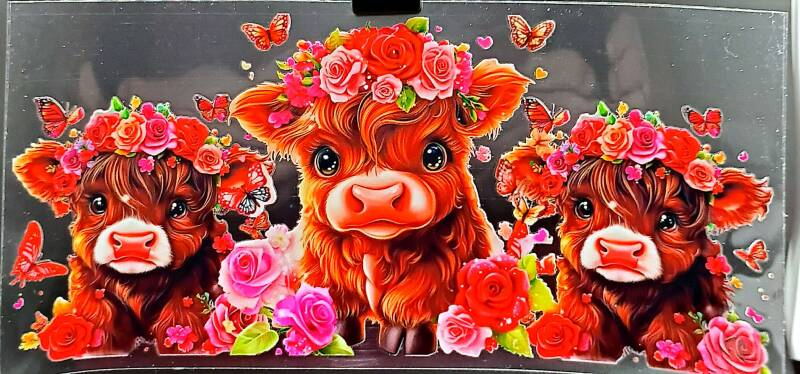HIGHLAND COW W/RED AND PINK