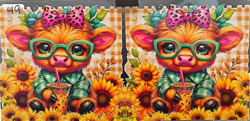 HIGHLAND COW SUNFLOWERS