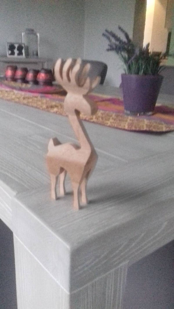 Kerstmis rendieren (meerdere foto's)