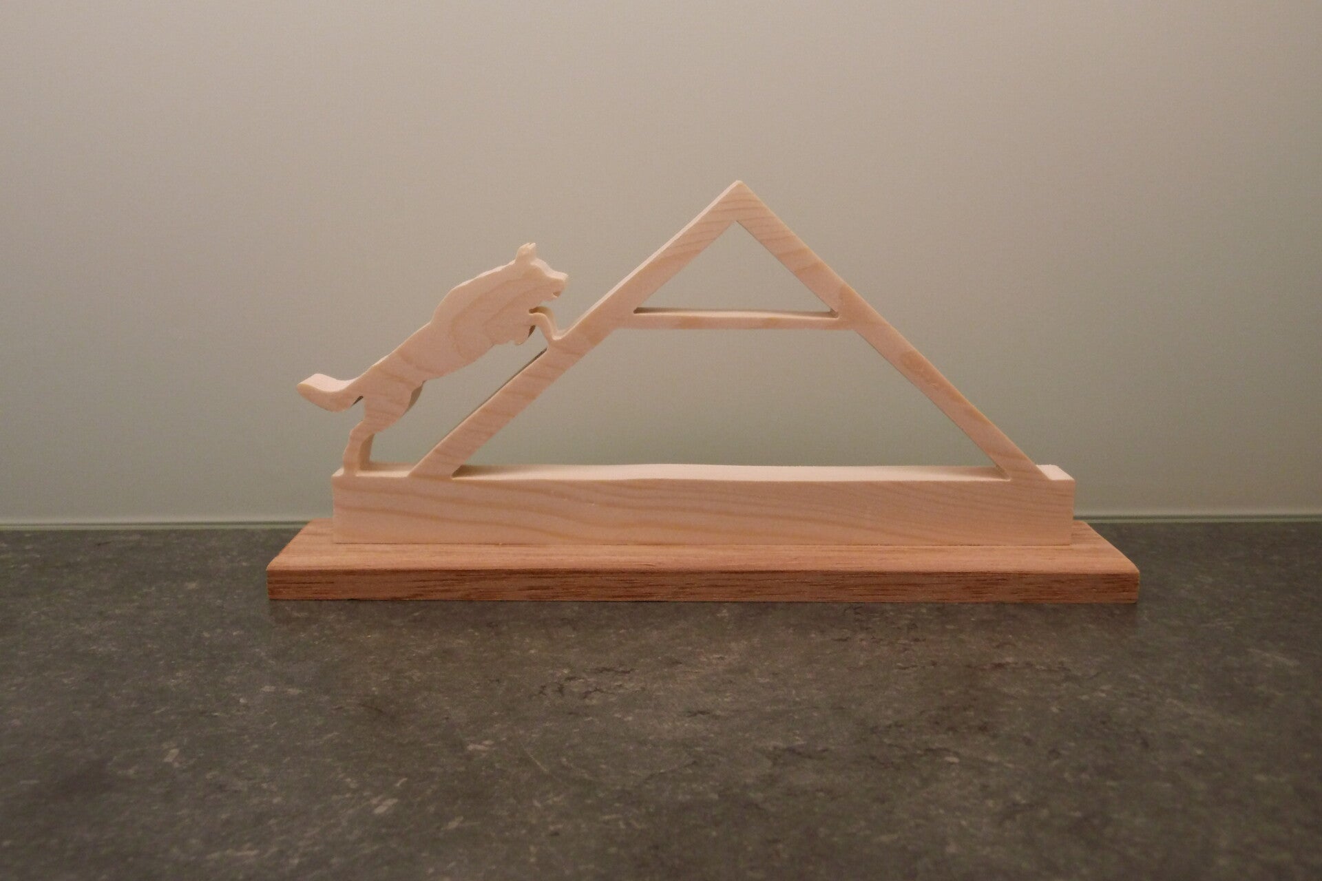 Hond agility (meerdere foto's)