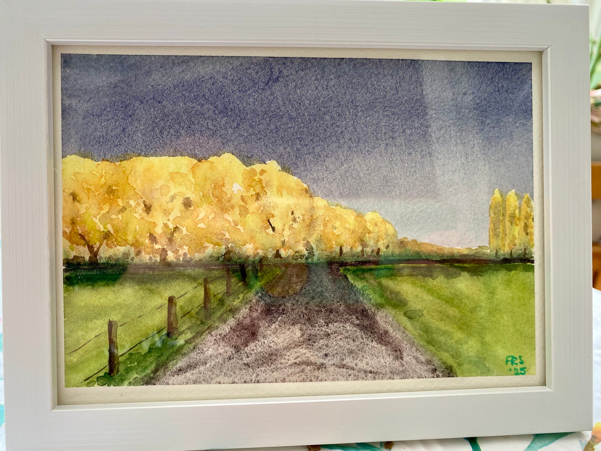 ‘Autumn morning gold’ 17x12cm