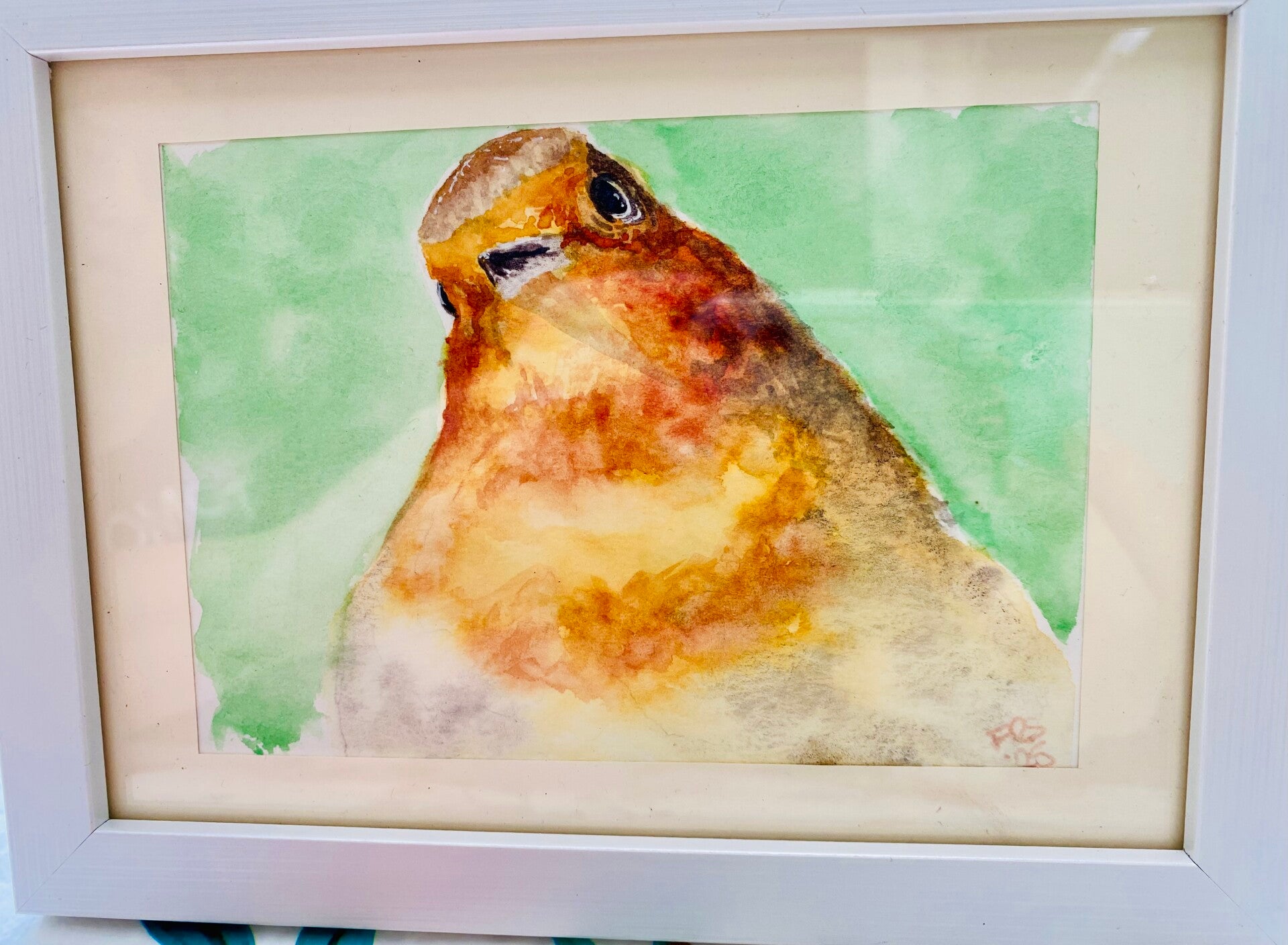 ‘Mr. Robin’ 17x12cm