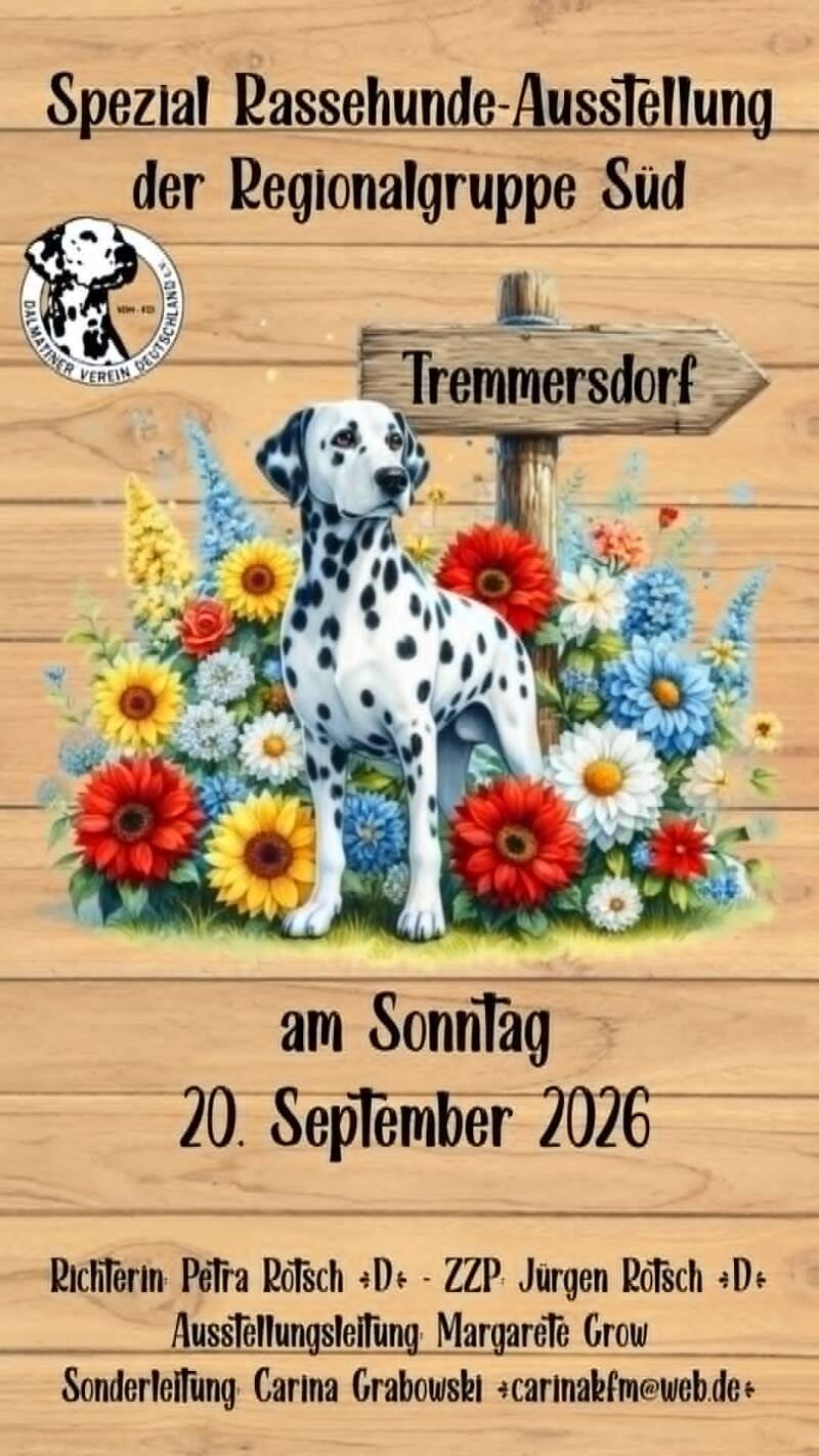 DVD Ausstellung Tremmersdorf