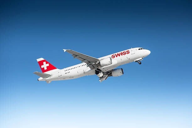 bild-2-standard.jpg