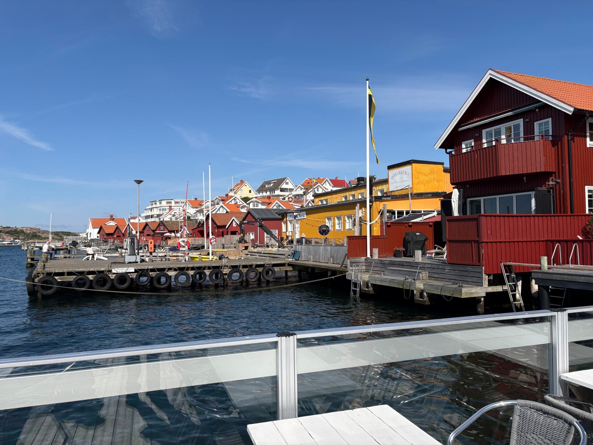 img_3117-standard.jpg