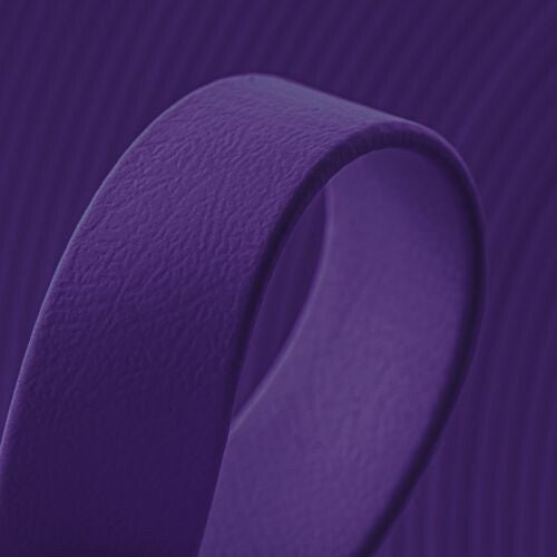 violet-vi521-biothane-beta-r-25-mm-2-5-mm-per-meter.jpg