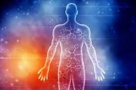 reiki niveau 3