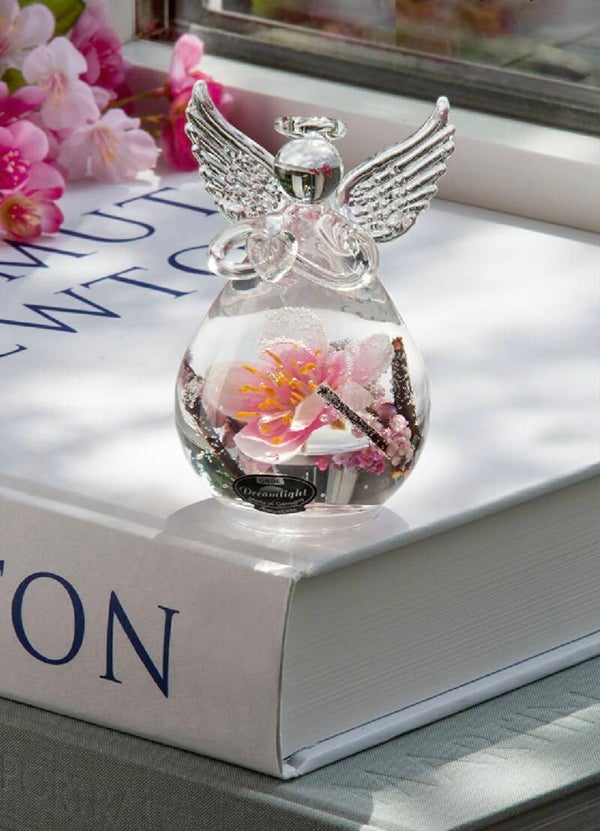 GI Dreamlight "Hanamy" - Angel Petit