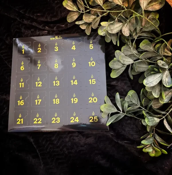 GZ De Geurzussies Advent Kalender Waxies