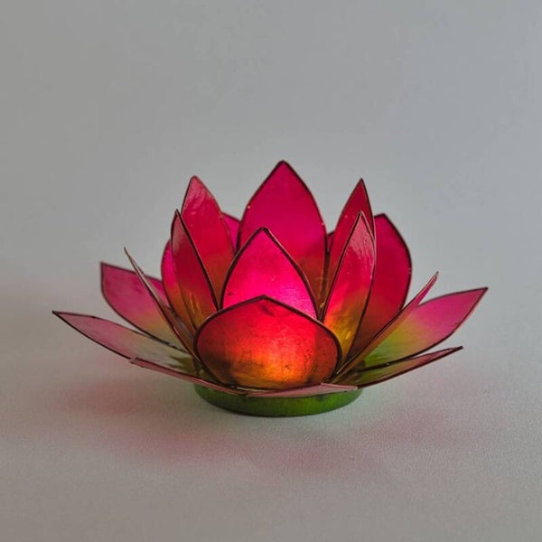 Lotus Blossom 13 Bicolor Roze-Groen – Theelichthouder voor genezing en liefde