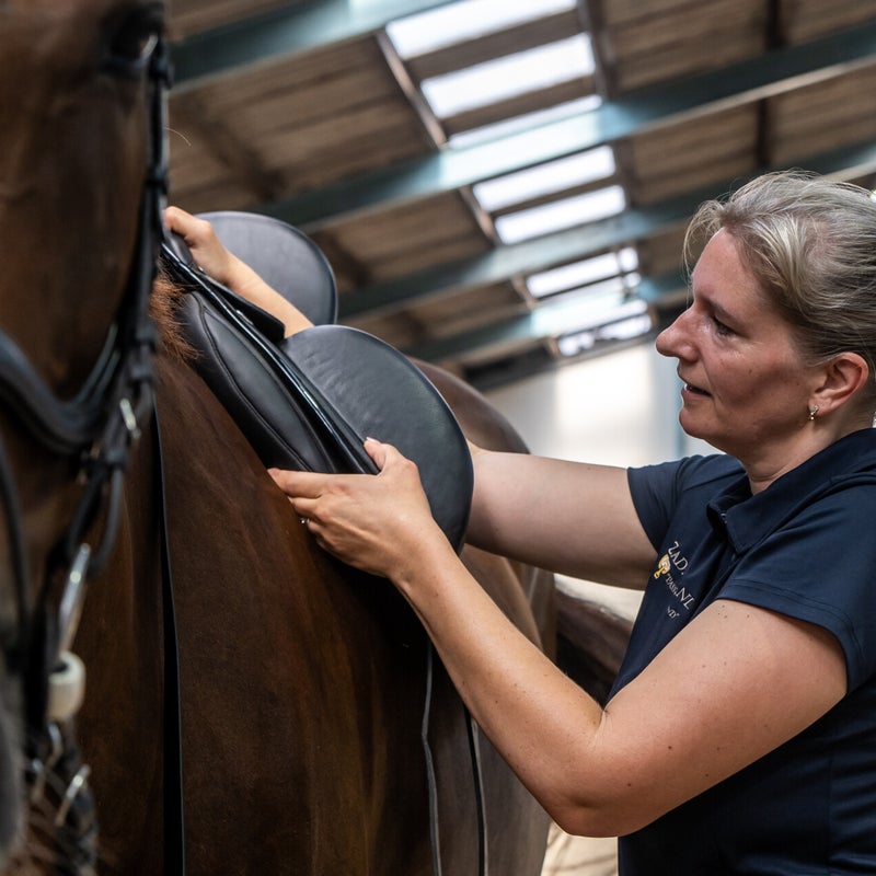 zadelcontrole door zadelspecialist