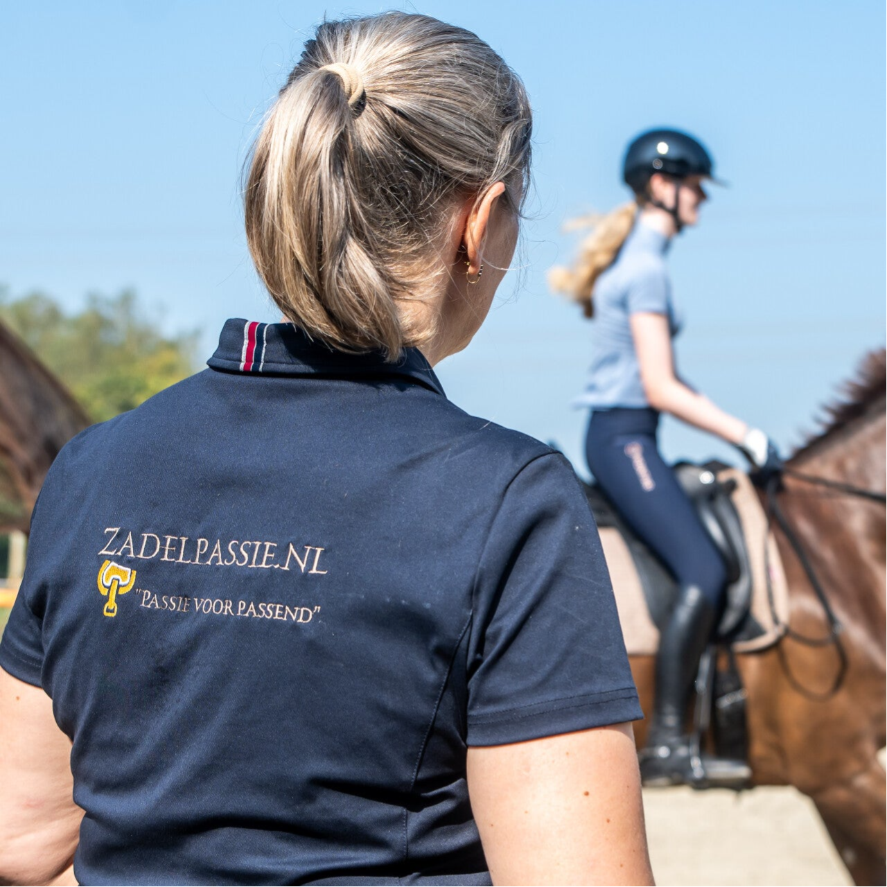 onafhankelijk zadeladviseur