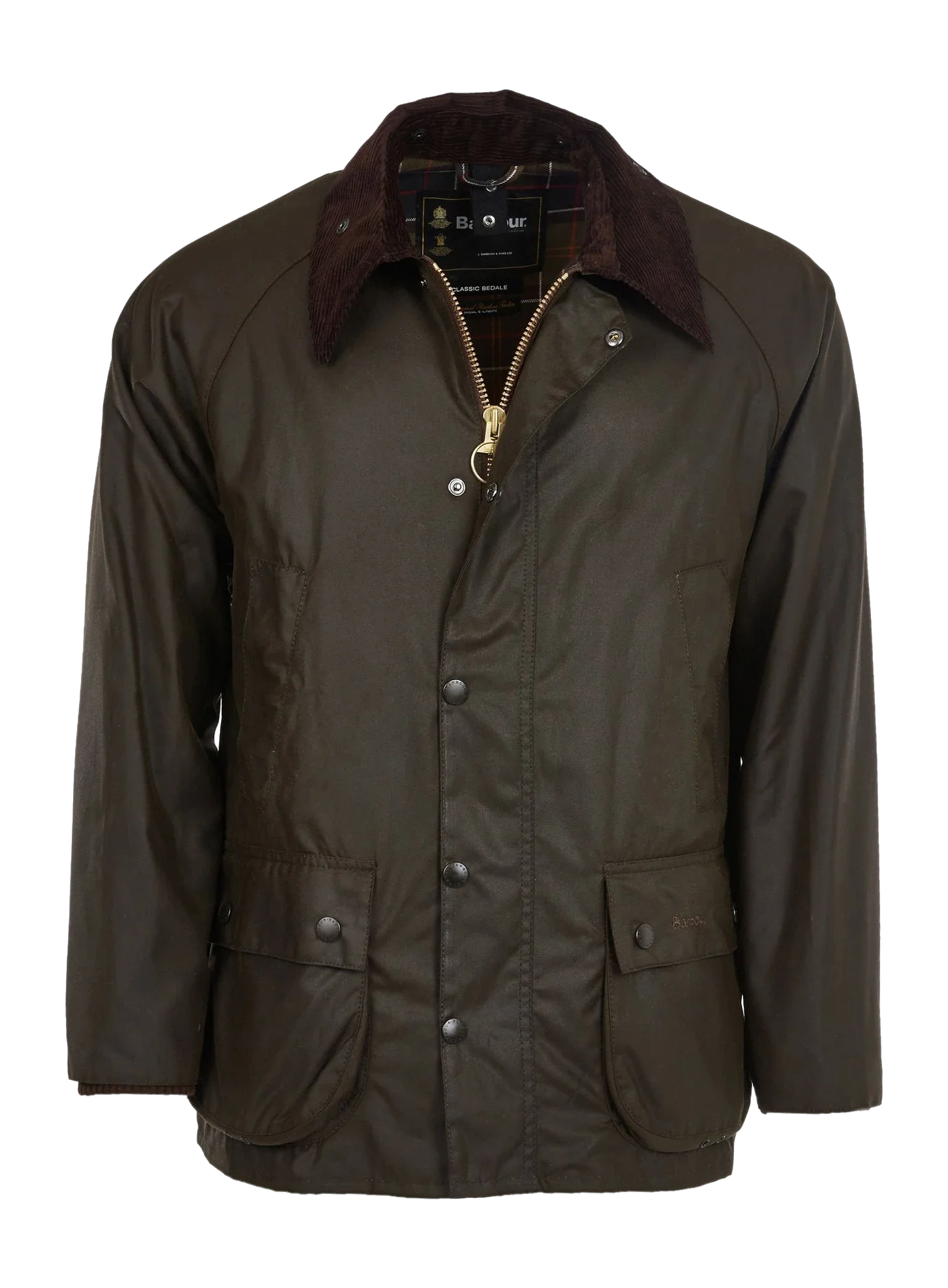 ASHBY Olive